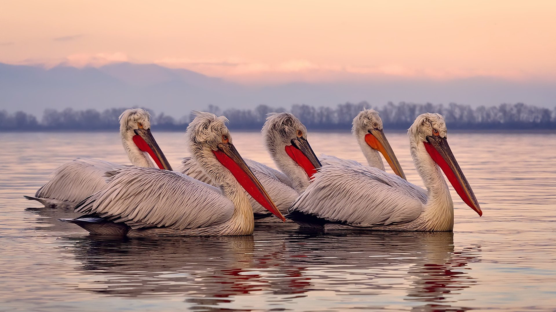 若日尼奥的数字代码,他如何用连续得分写下威尔士的唯一性章节