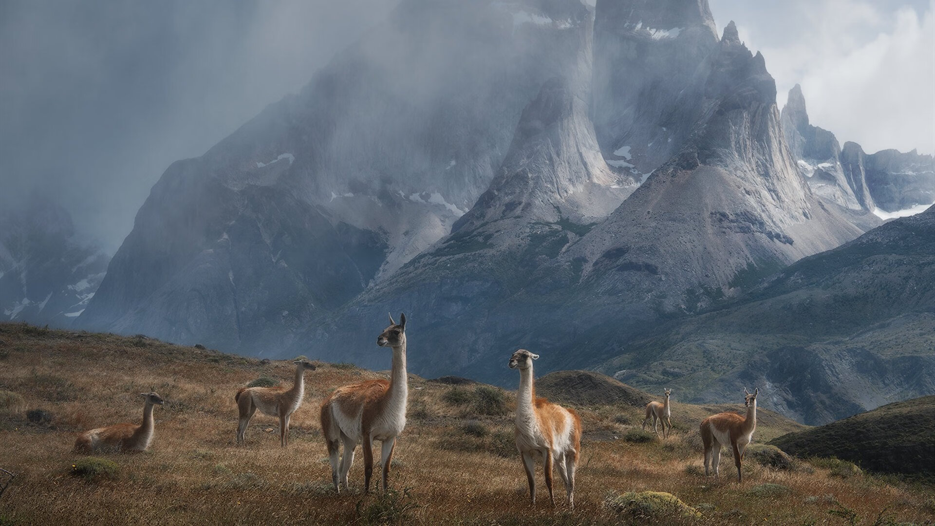 欧冠决赛之夜,英格拉姆的冠军级表现铸就传奇