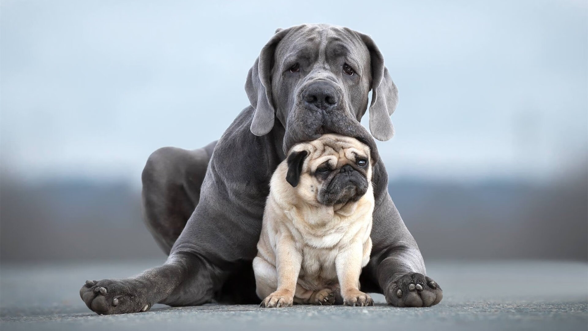 切特全能风暴席卷联盟，雄鹿破勇揭示新时代篮球法则