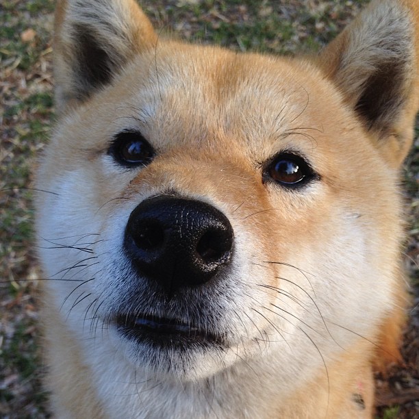 银色赛道的轰鸣,绿茵战场的证明,当F1新赛季在巴林揭幕,格纳布里在慕尼黑写下自己的宣言