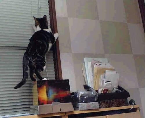 乔治全能爆发率步行者轻取吉林队，强势晋级国际邀请赛四强