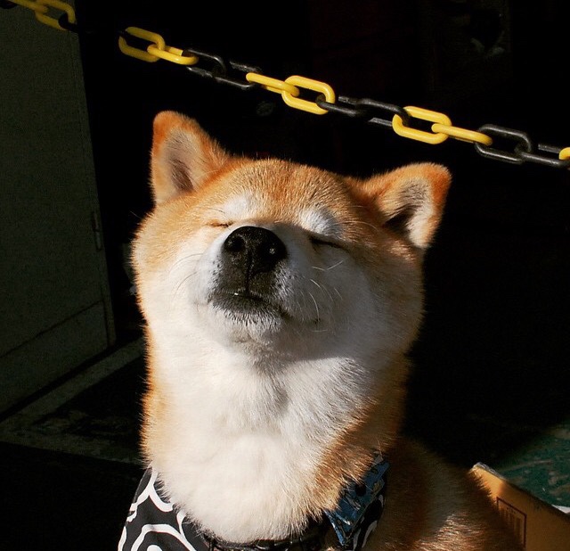 美加墨世界杯焦点战，土耳其7秒反超背后，是世界从扁平回归立体的真相