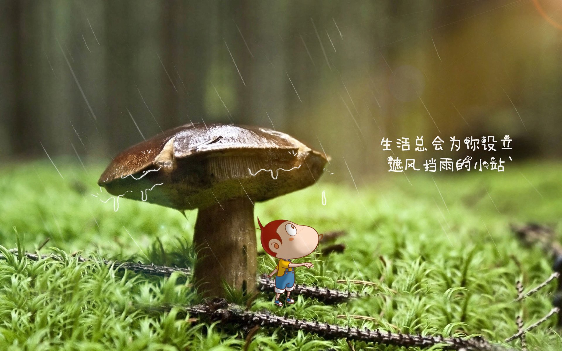 多瑙河畔的钢铁华尔兹,加维的第六感与意大利的逆袭风暴,如何将欧洲红魔困在控球的迷宫