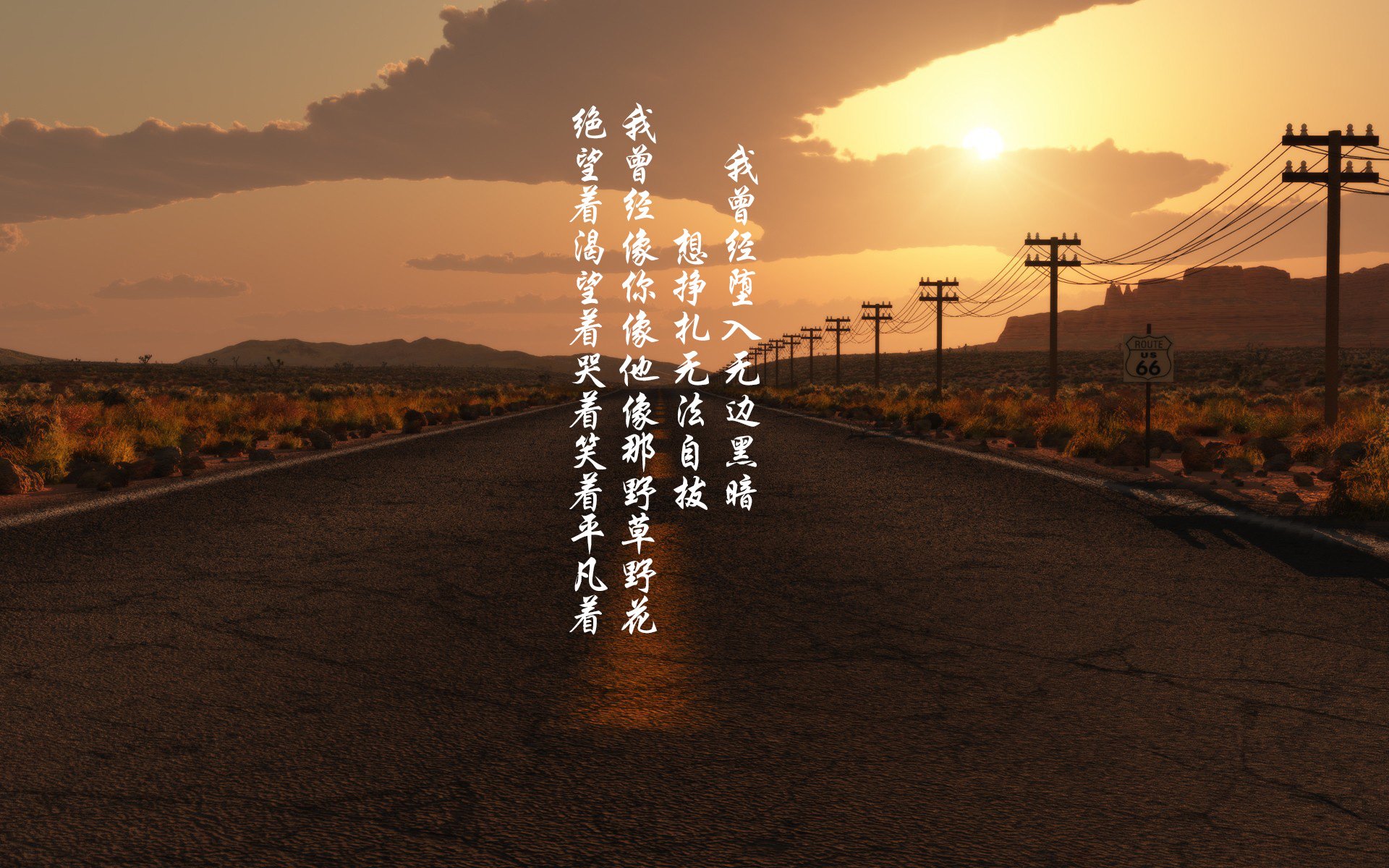 以下是为您创作的,具有唯一性视角的文章