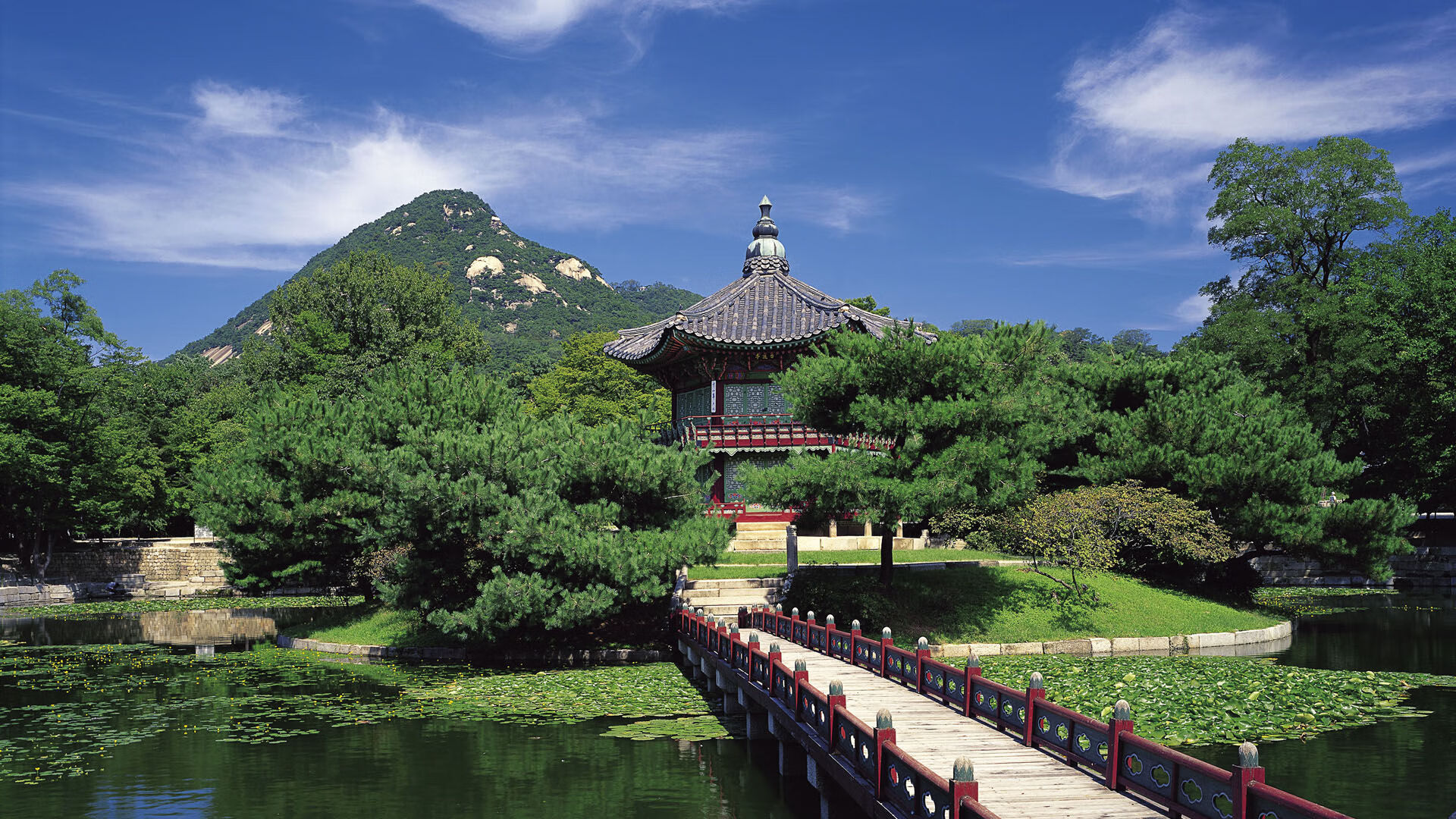 新王加冕,旧神归位,2026世界杯E组洗牌之夜,瑞士的冷血与日本的涅槃