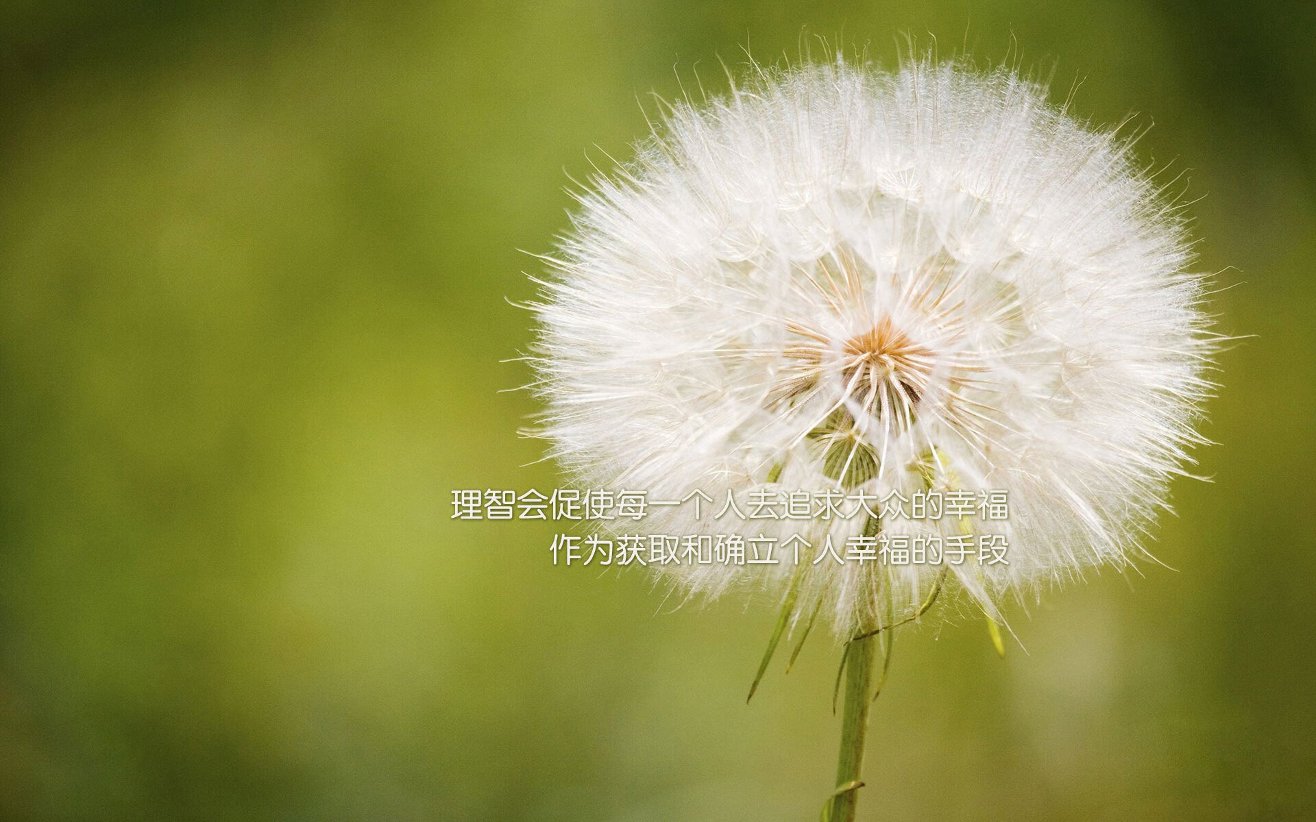 让我们来构建这个唯一性的故事