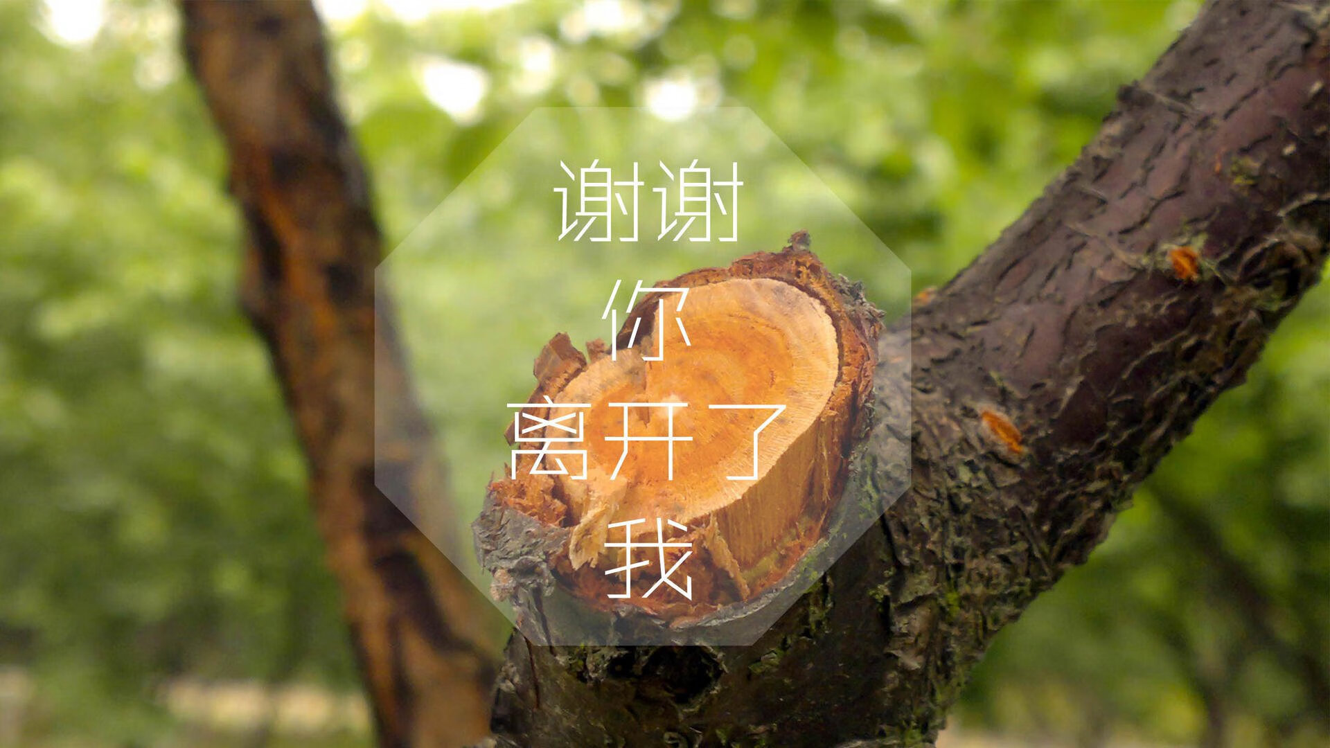 双核驱动,2026世界杯H组关键战,法兰西风暴横扫太极虎,卢卡库节奏制胜